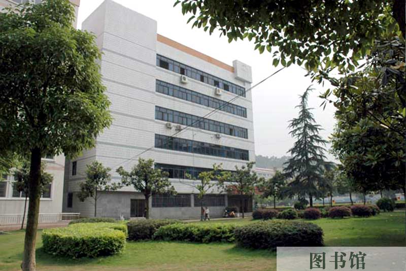 亚洲色欲色欲大片WWW无码