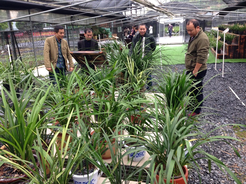 亚洲色欲色欲大片WWW无码