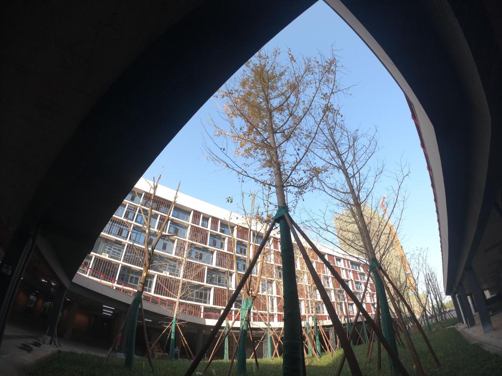 亚洲色欲色欲大片WWW无码