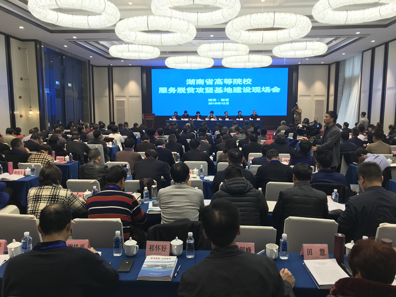 亚洲色欲色欲大片WWW无码