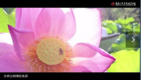 亚洲色欲色欲大片WWW无码