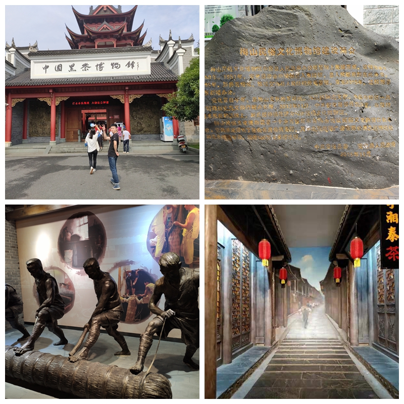 亚洲色欲色欲大片WWW无码