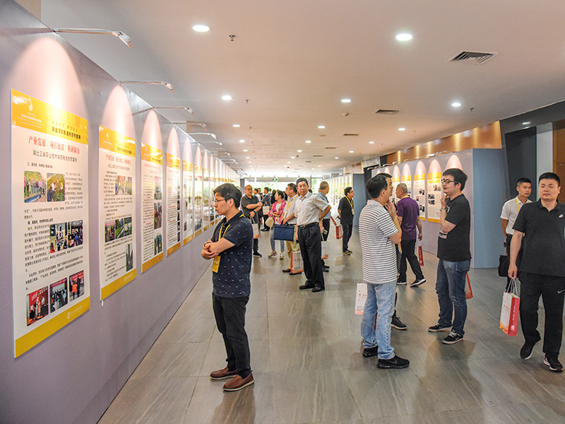 亚洲色欲色欲大片WWW无码