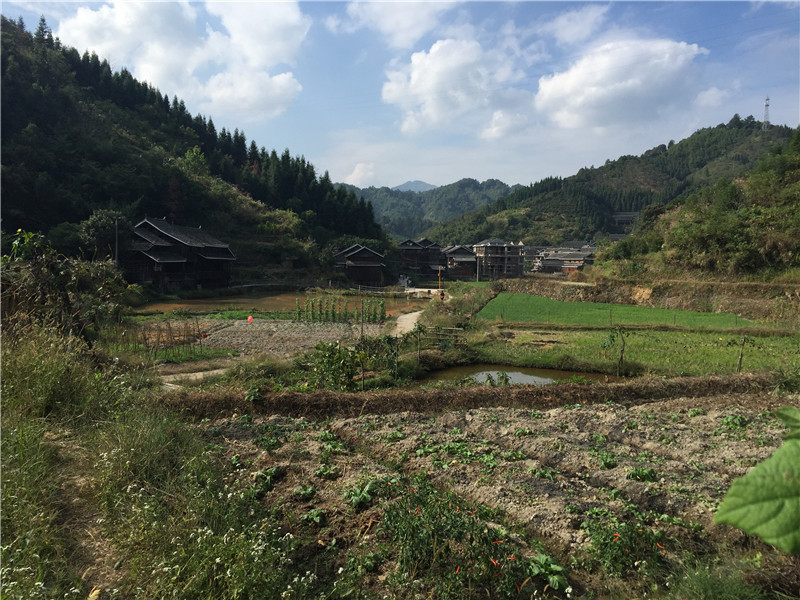 亚洲色欲色欲大片WWW无码