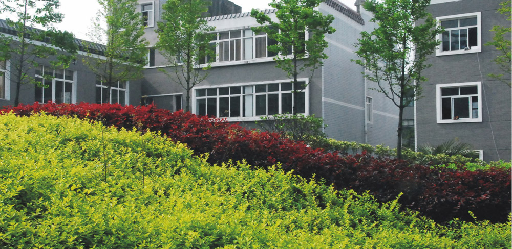 亚洲色欲色欲大片WWW无码