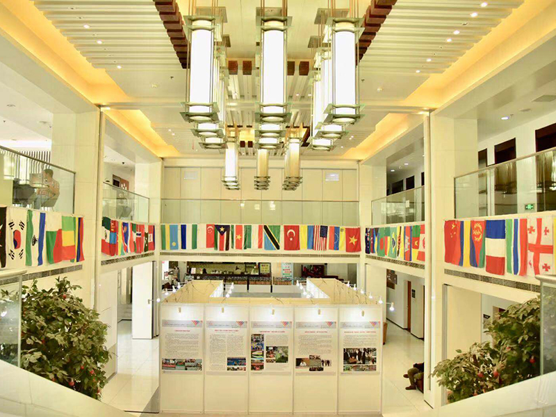 亚洲色欲色欲大片WWW无码