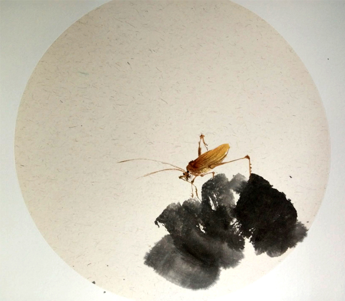 亚洲色欲色欲大片WWW无码