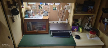 亚洲色欲色欲大片WWW无码