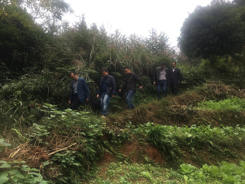 亚洲色欲色欲大片WWW无码