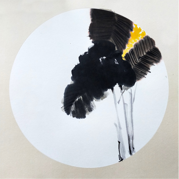 亚洲色欲色欲大片WWW无码