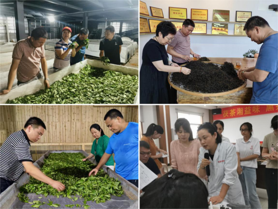 亚洲色欲色欲大片WWW无码