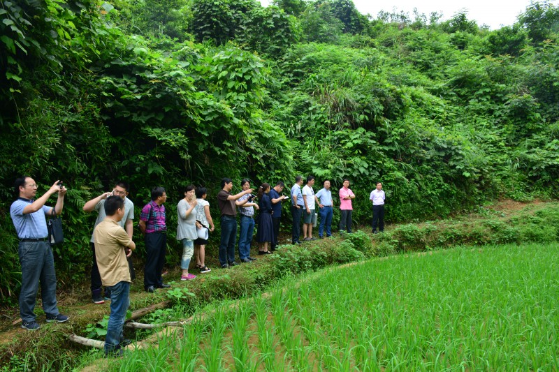 亚洲色欲色欲大片WWW无码